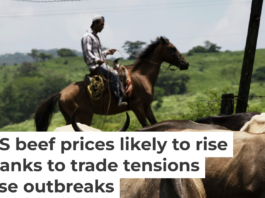 The U.S.-Mexico beef market has taken a massive hit from the screwworm parasite, which has spread from Mexico to Texas and New Mexico. AP Photo/Isabel Mateos, file